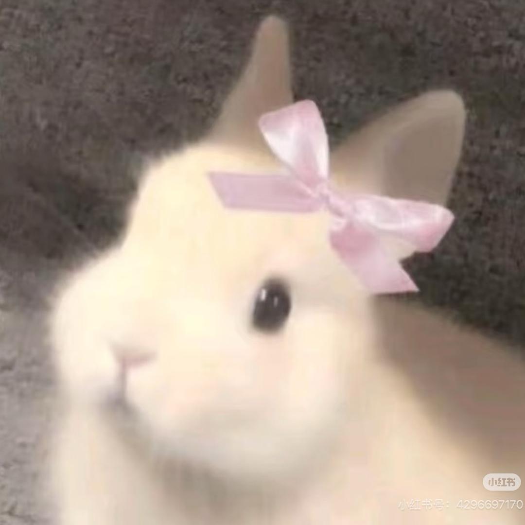 讨厌胡萝卜🥕