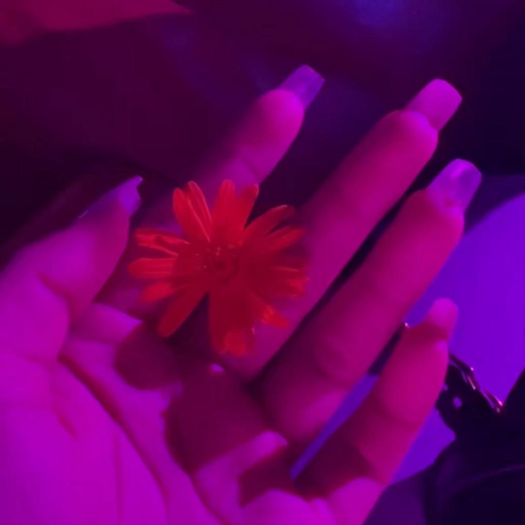 容🌸雪