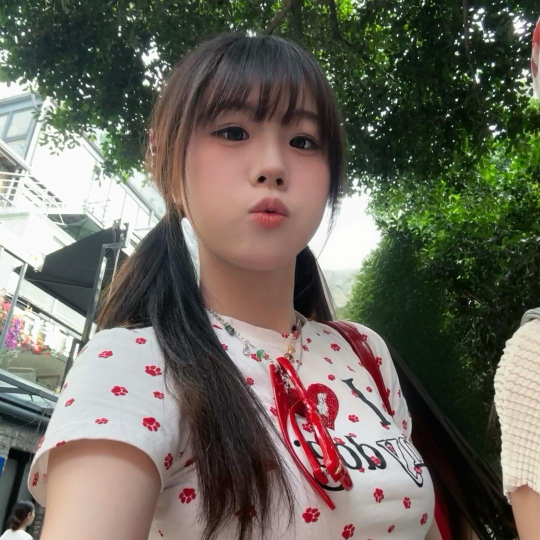 圆脸日记