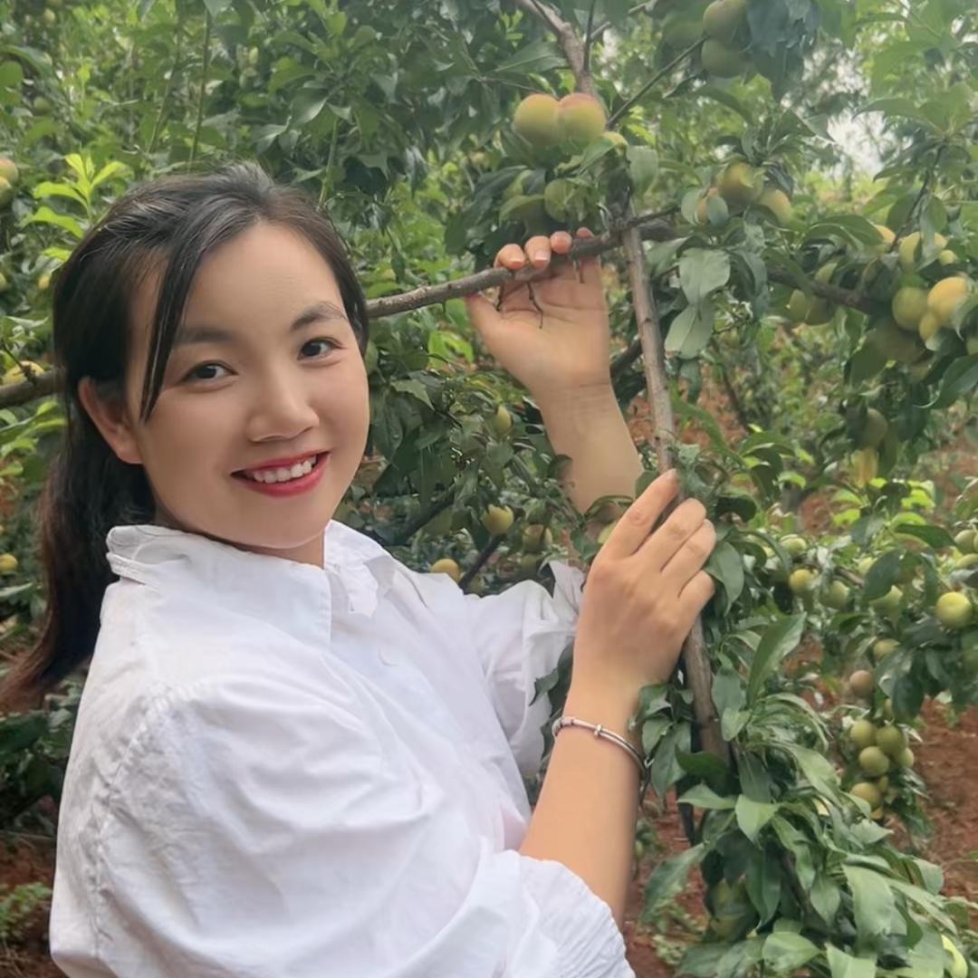 小菊爱吃水果