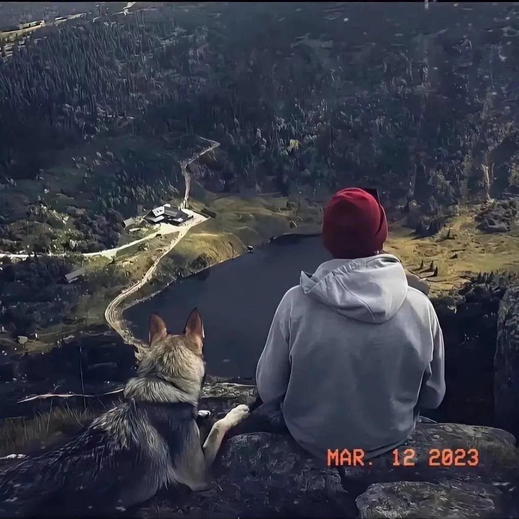 熟悉的陌生人❤️