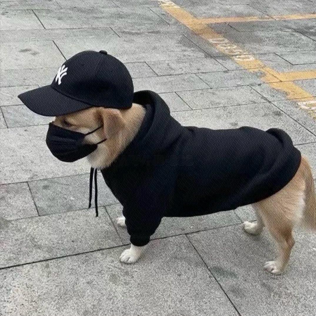 我做饭超难吃