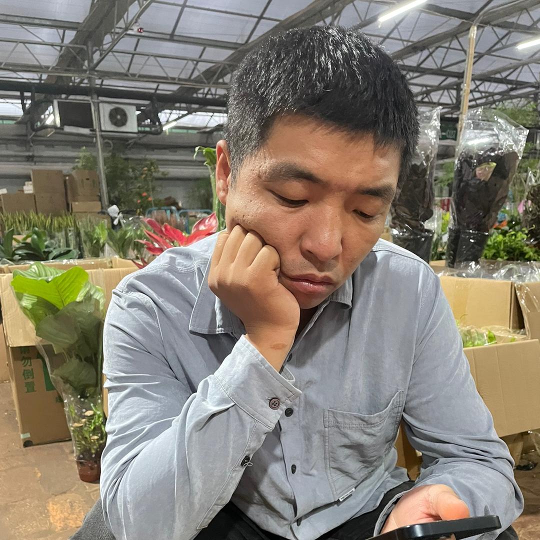 建泽园艺小静静盆花批发