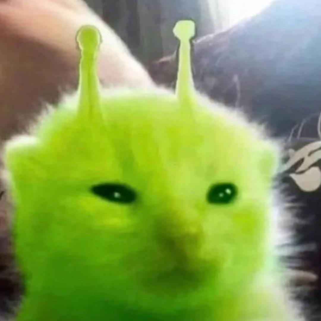 阿蛋🥚