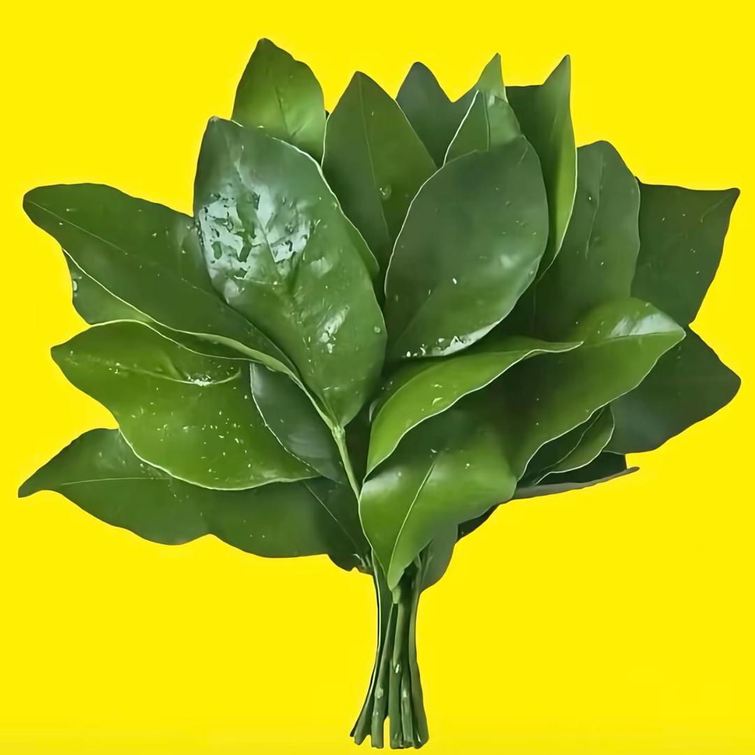 亚亚（手游）