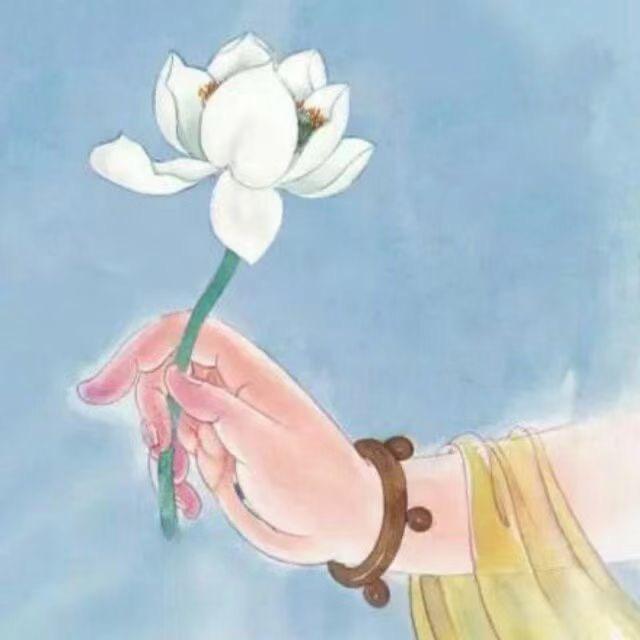 淼淼淼