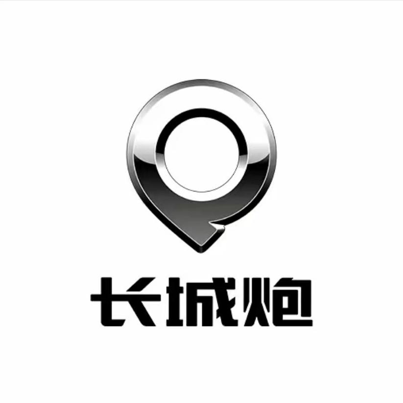 滨州长城炮de 课代表