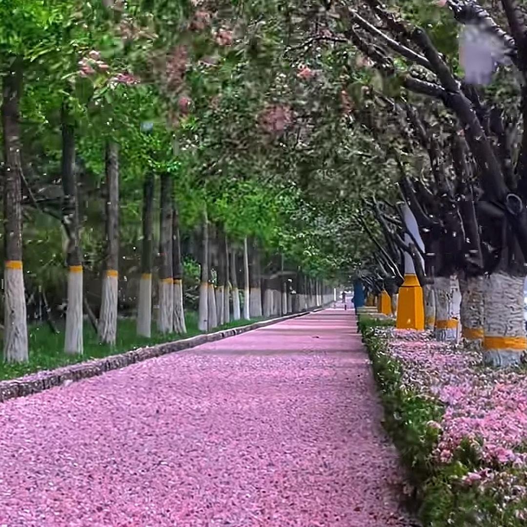 此岸伴我安👨‍👩‍👦‍👦