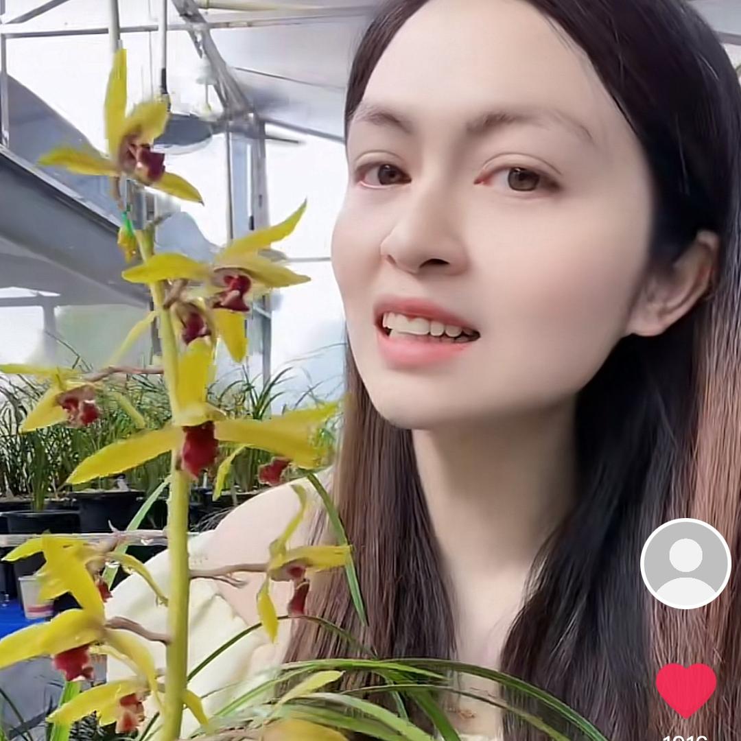 红香妃小姐姐🌸🌸秦芳