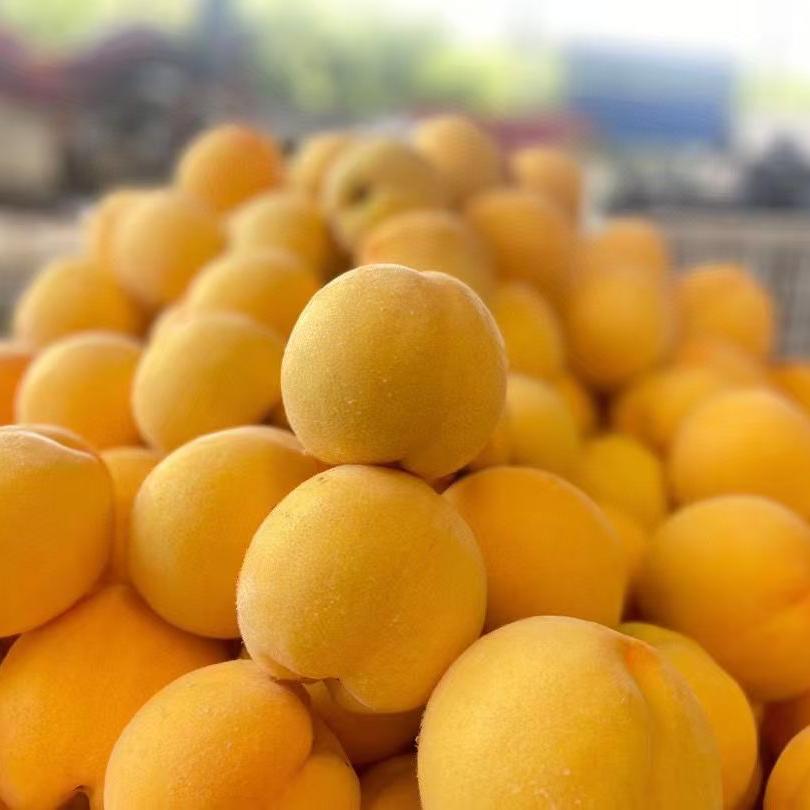 小农民特产个体店零售店