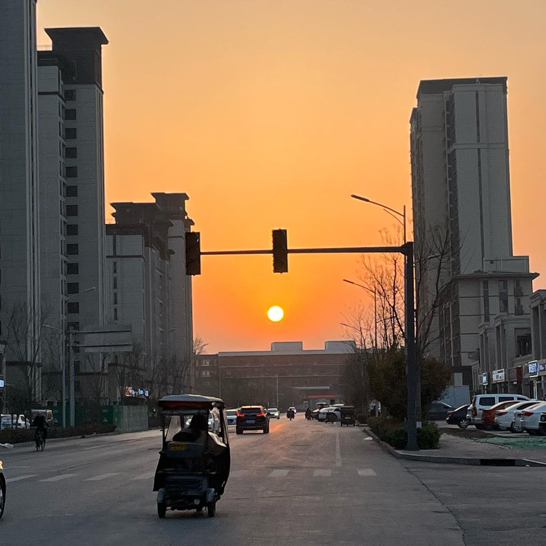 小杨