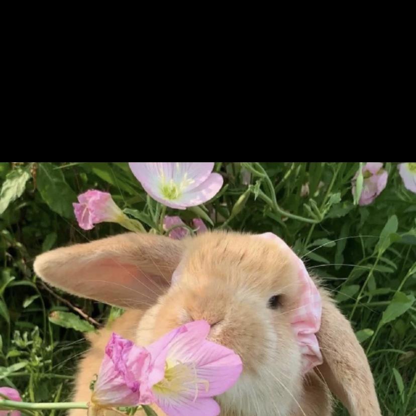 冬杰优选农副产品店