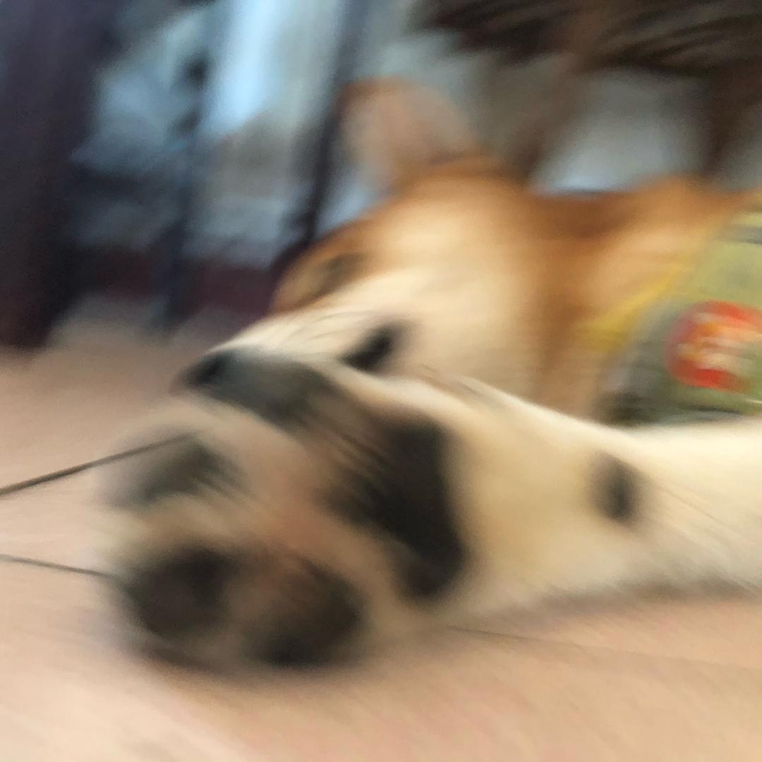 不知道是因为没有时间观念