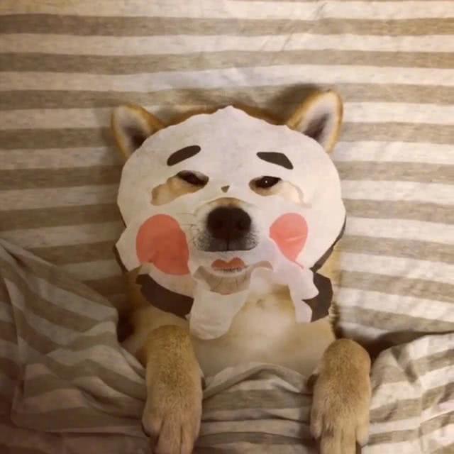 须眉