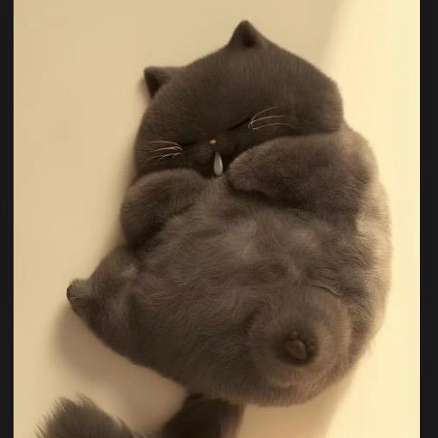 已读不回或者乱回