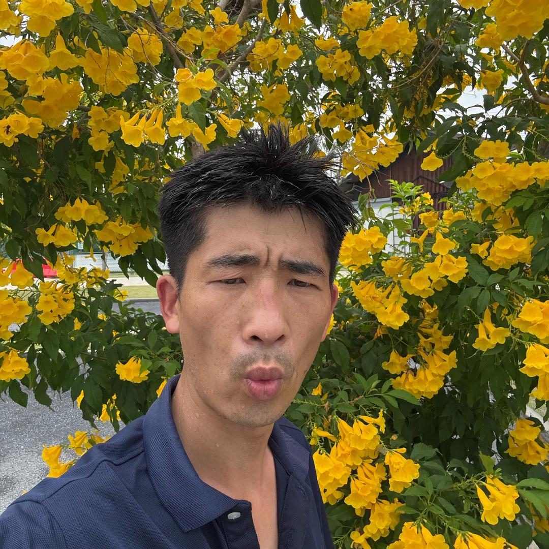 呲了花