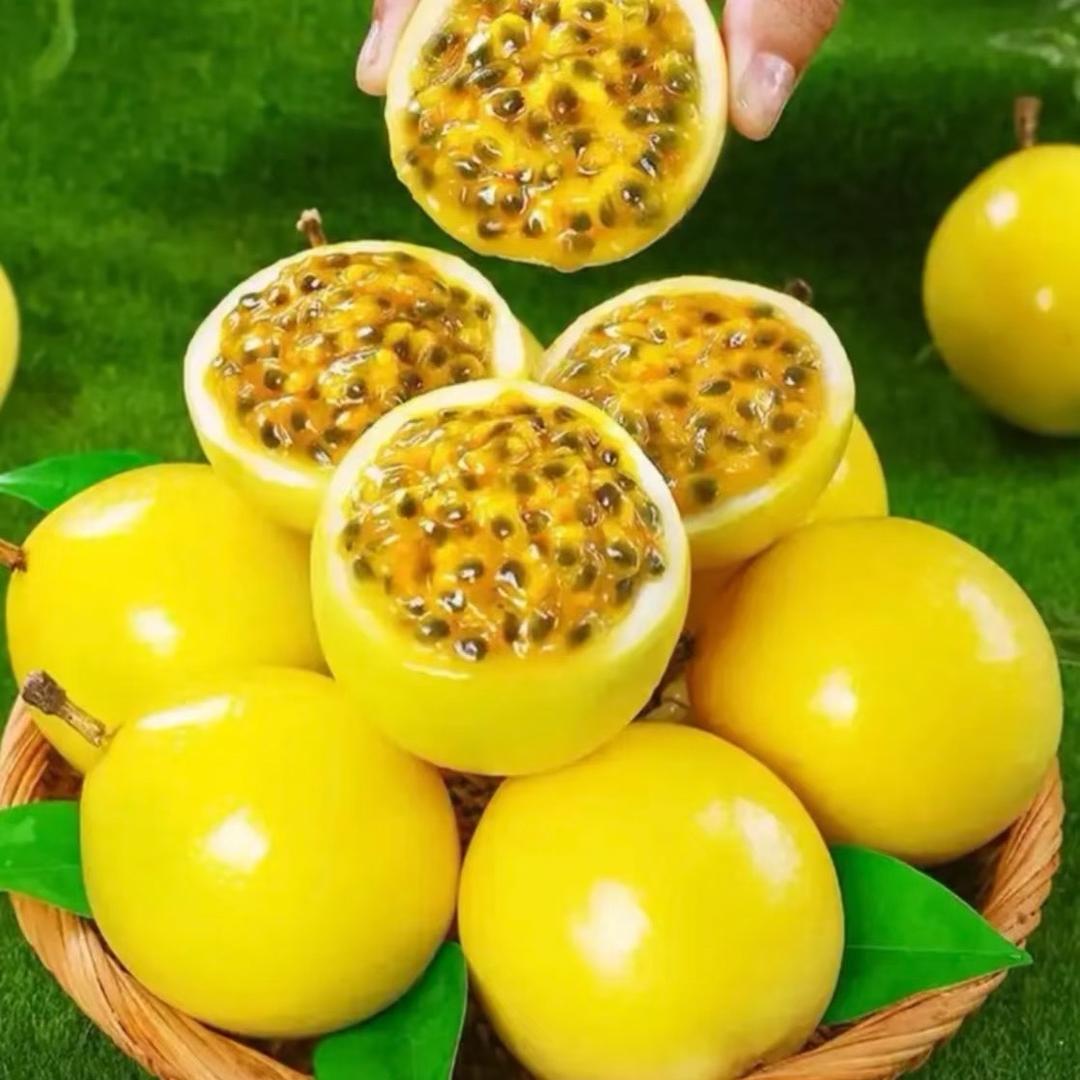 果然鲜