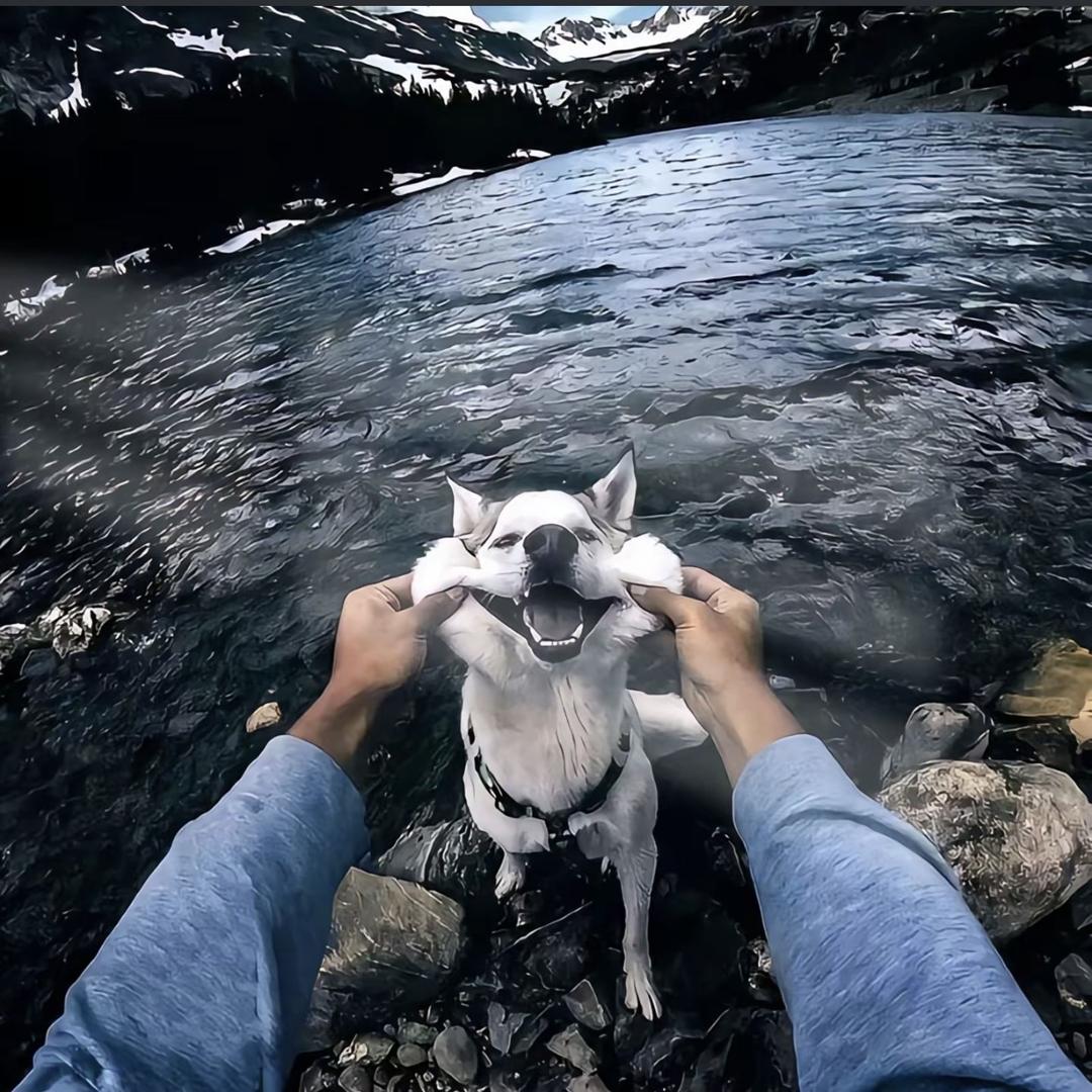 橙子橘子橙橘子