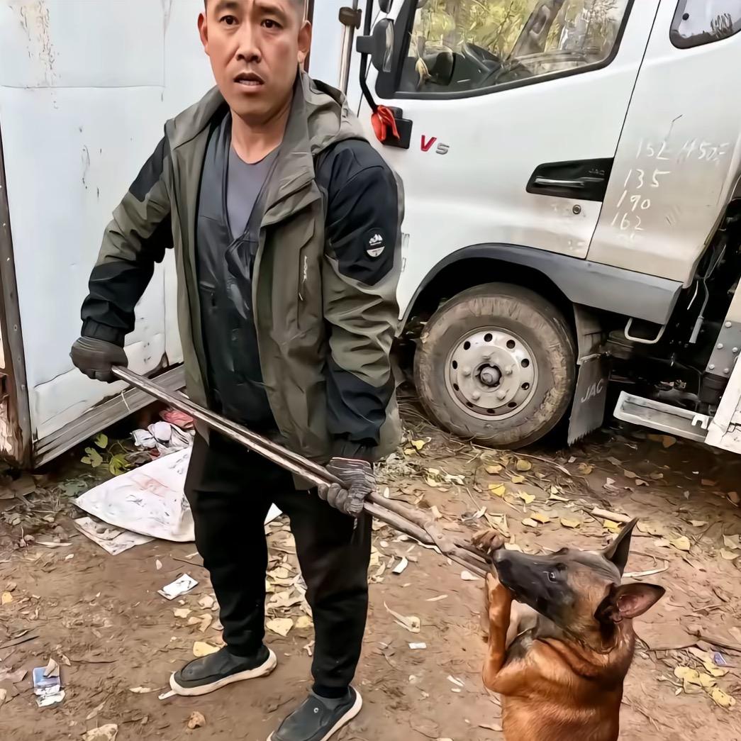 AAA专业套狗二师傅