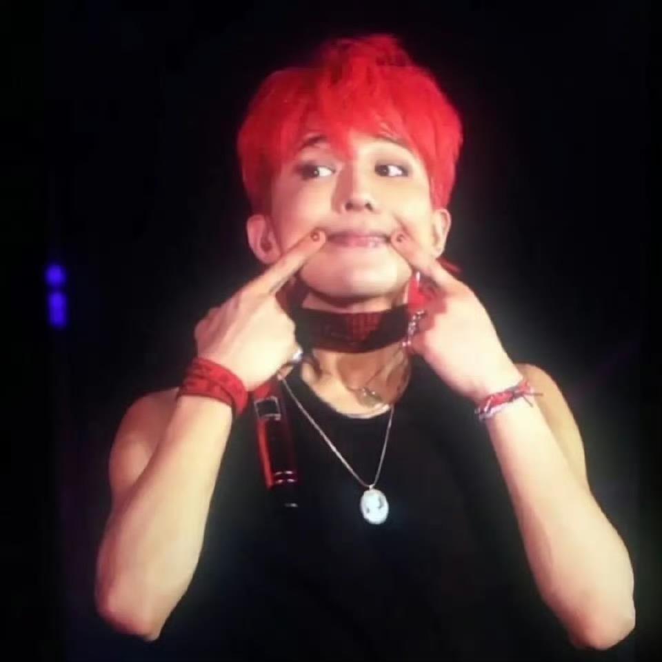 追星星的女孩🌟