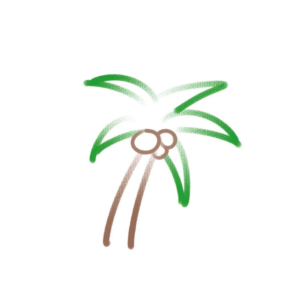 海南热带水果🌴小雅