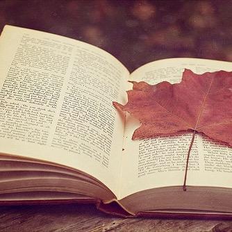 麦田里的守望者