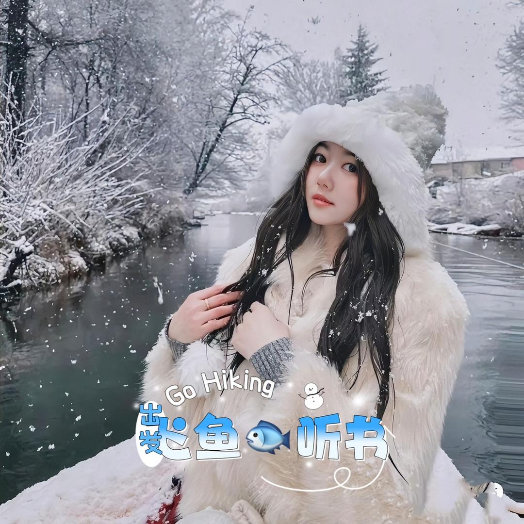 飞鱼听书
