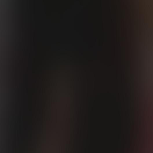 国王日记·