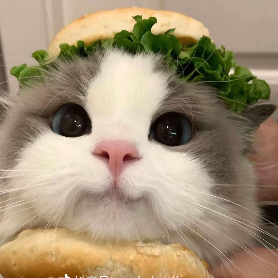 小绿。