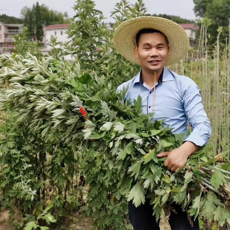 好艾之家