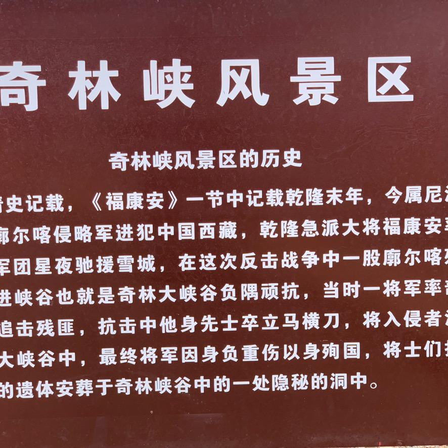 花开花落终无果