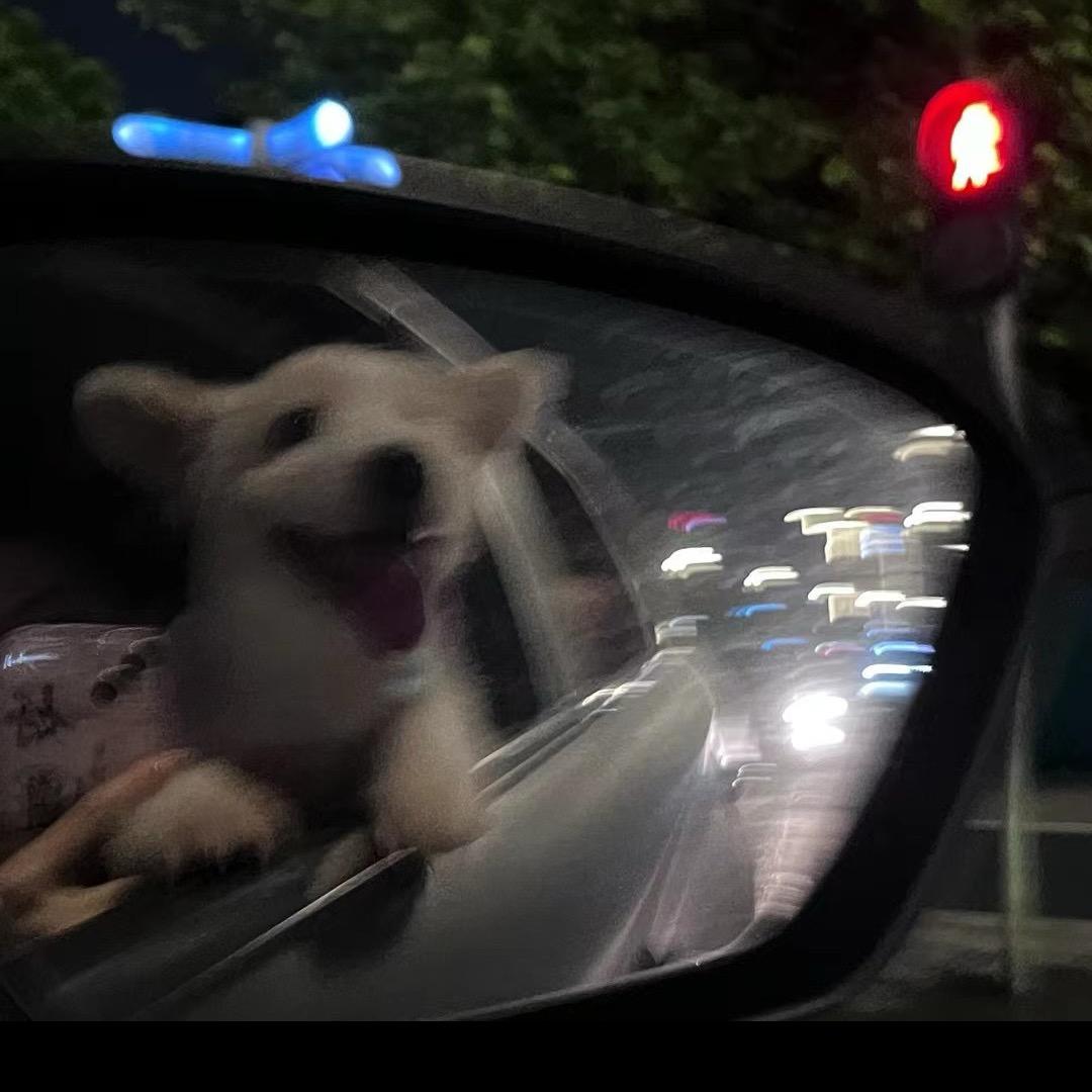 黄油面包小拿铁