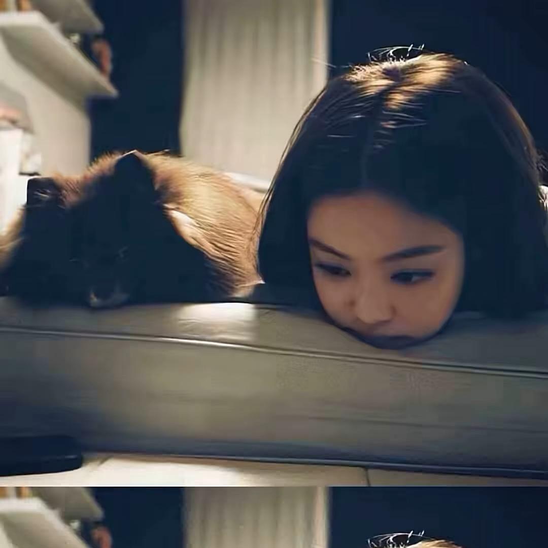¥