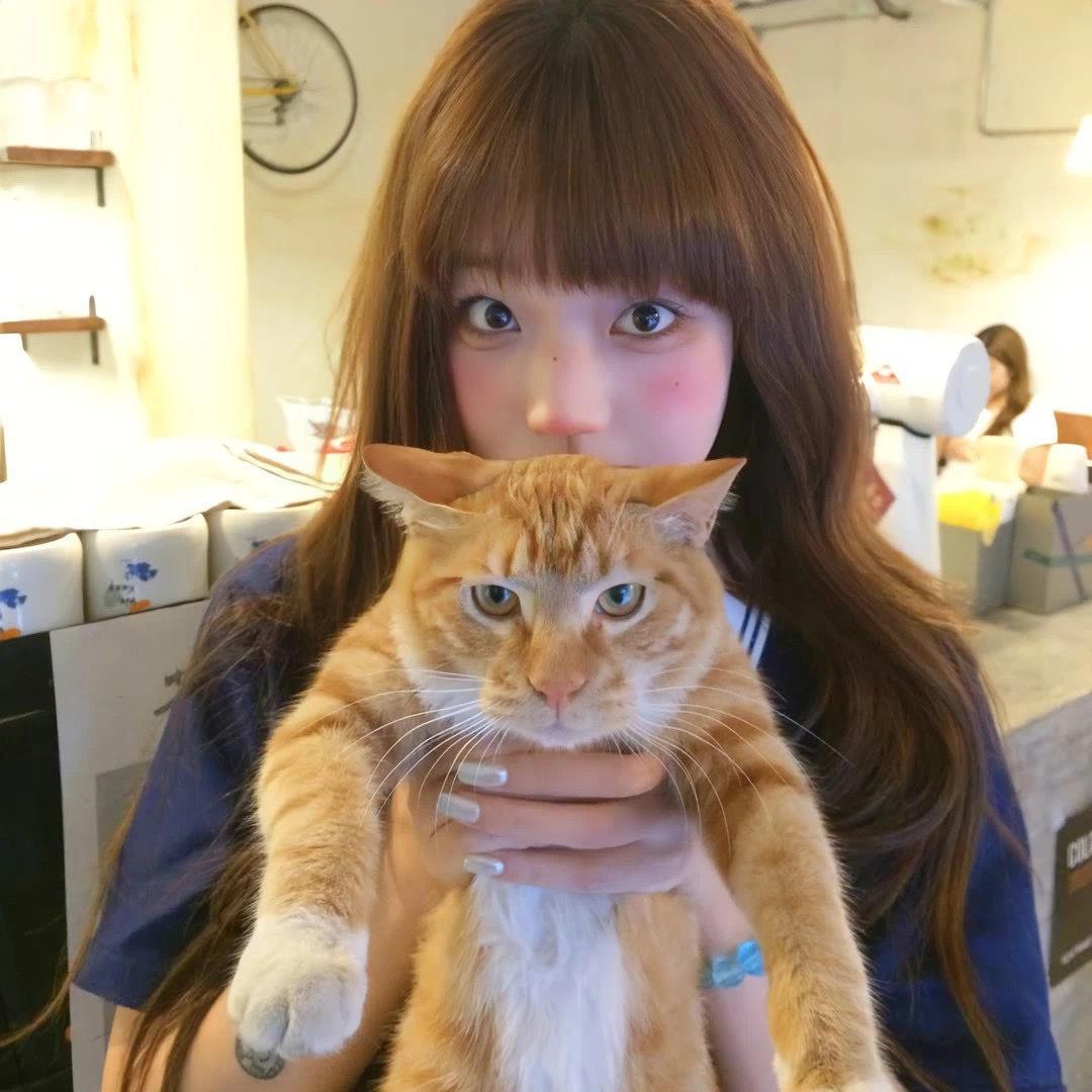 奇妙柿子摆造型