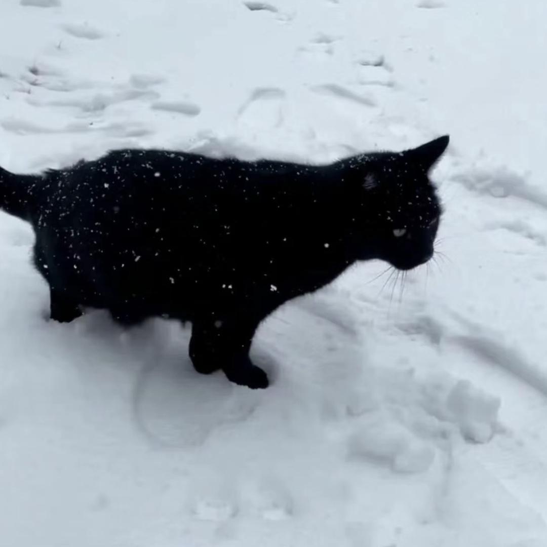 ∴