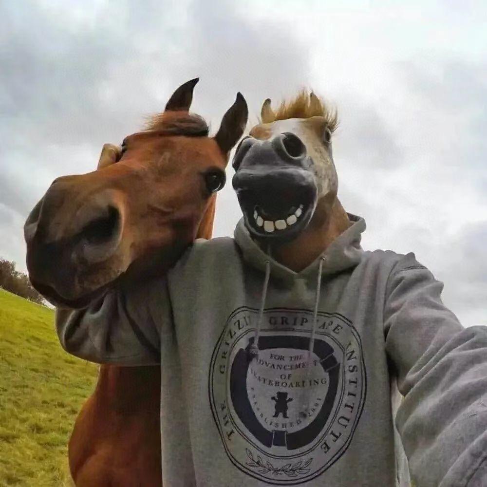 蛋丁不是但丁🥚