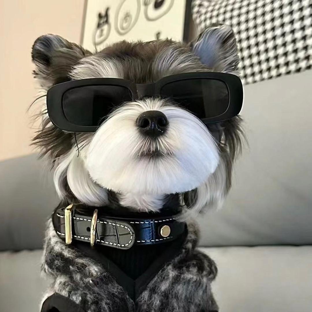 §