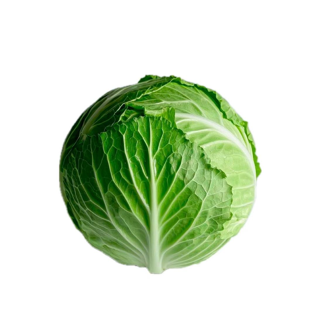 东泽.