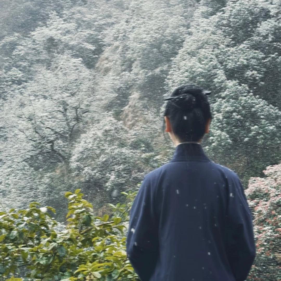 勿宁