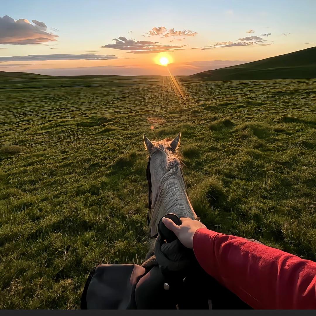 阿成（聚隆寄售）