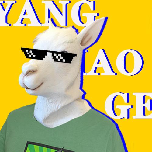 常德羊毛哥