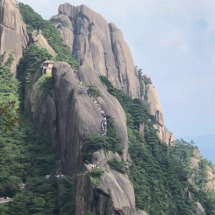 凌风（达盟团队）