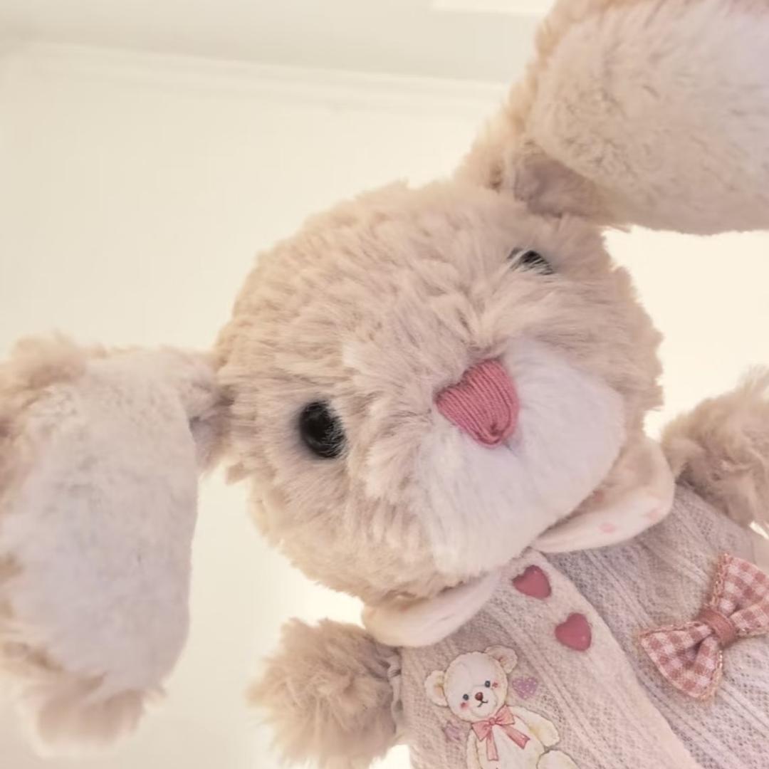 兔兔爱生活💕