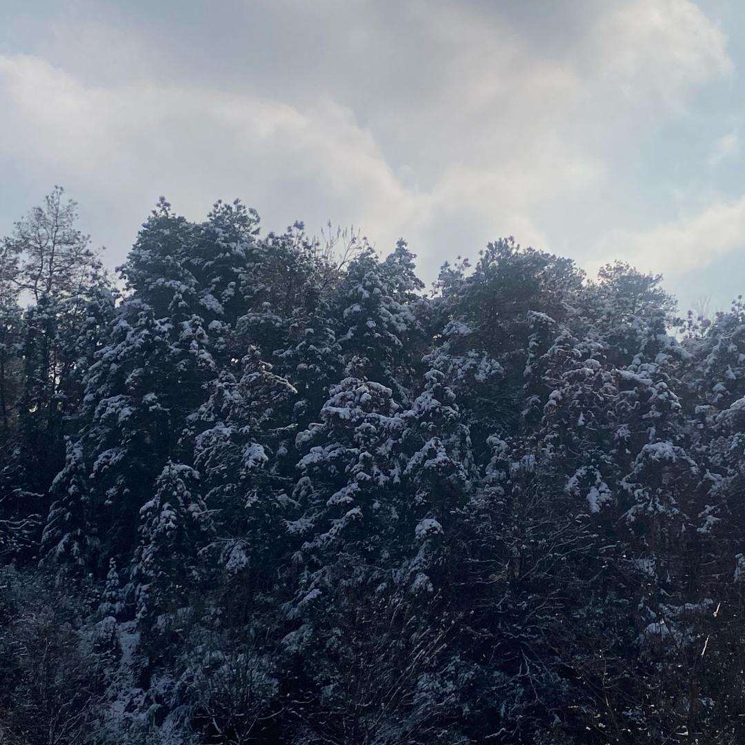 流行密码lxmm