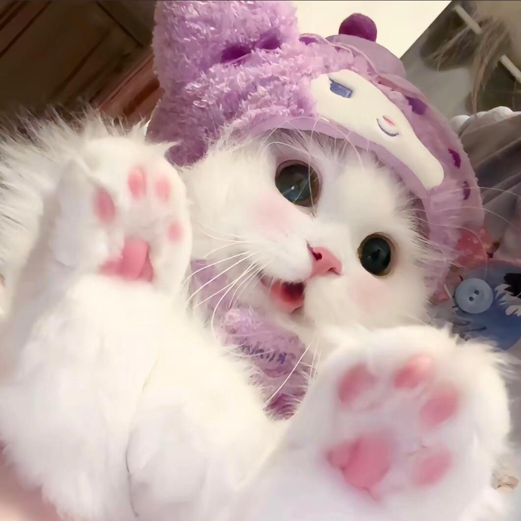 深思熟虑