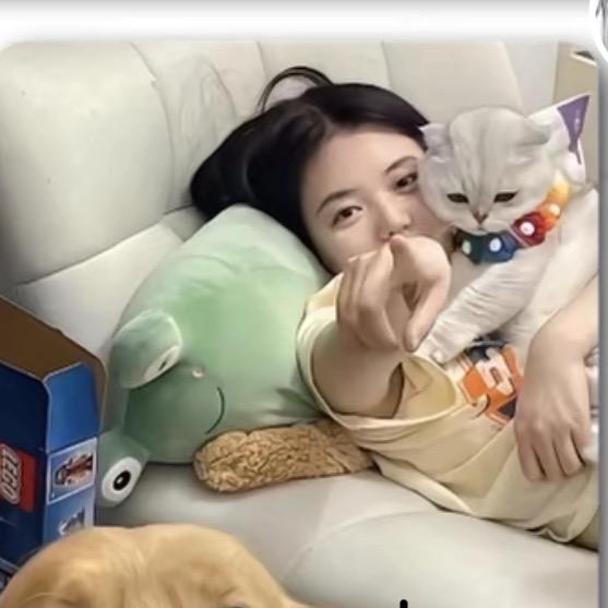 多肉←丹→