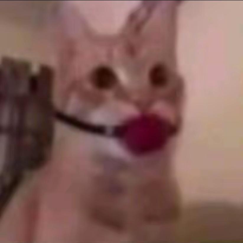 老公和儿子都是gay