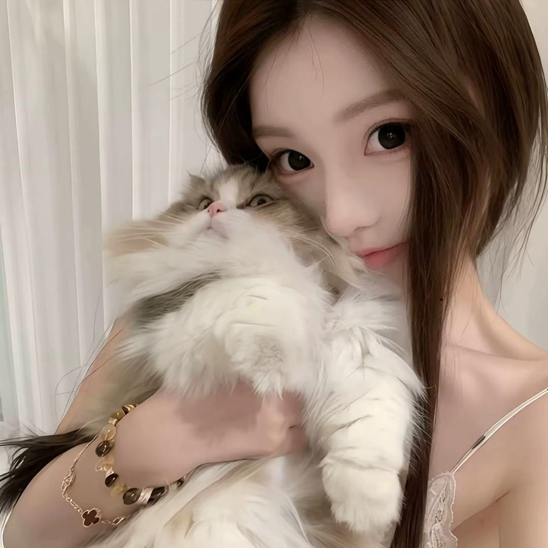 ㅤㅤ  ￰  ㅤㅤㅤ房东的猫