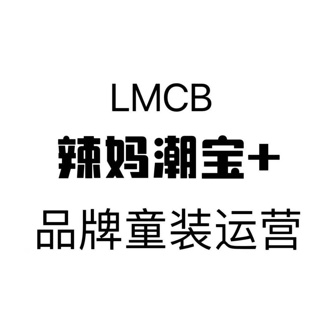 辣妈潮宝童装运营