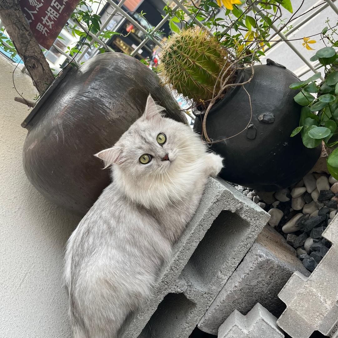 对方忙
